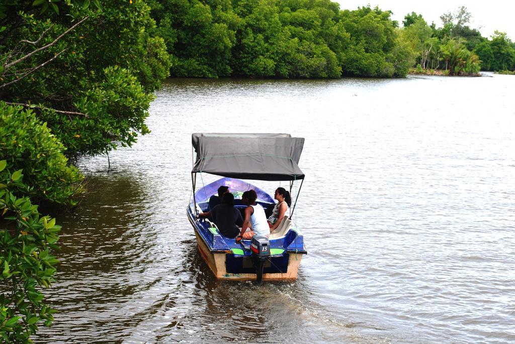 Okvin River Villa Bentota Eksteriør billede