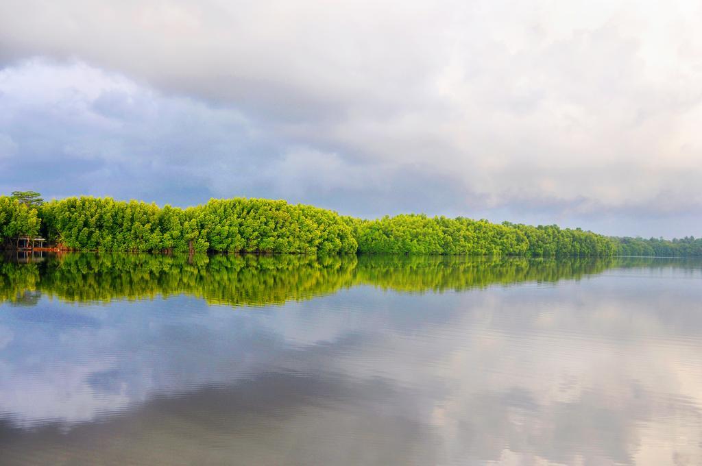 Okvin River Villa Bentota Eksteriør billede